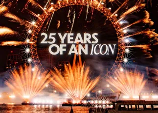 London Eye 25Th Portrait