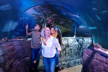 Family at SEA LIFE London aquarium looking at creatures in the tunnel