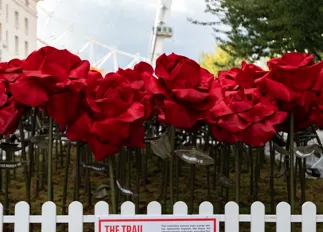 RED ROSE Hero Mobile